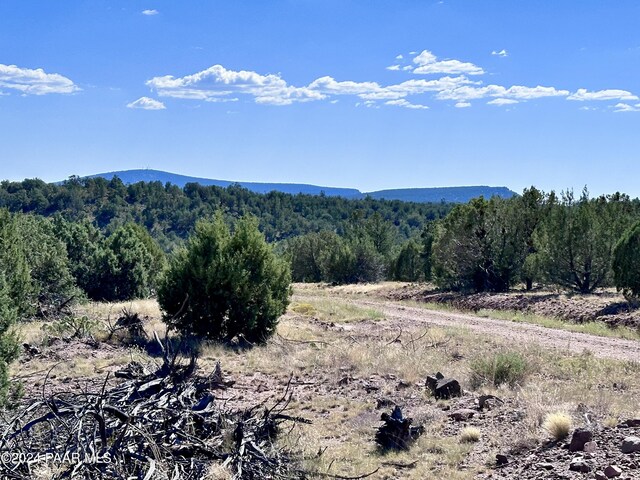 LOT1173 N Wonderland Way, Seligman, AZ 86337 - photo 9