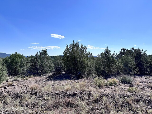 LOT1173 N Wonderland Way, Seligman, AZ 86337 - photo 7