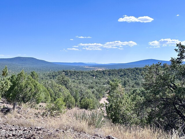 LOT1173 N Wonderland Way, Seligman, AZ 86337 - photo 3