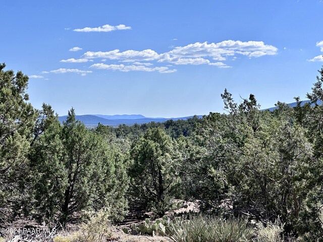 LOT1173 N Wonderland Way, Seligman, AZ 86337 - photo 8