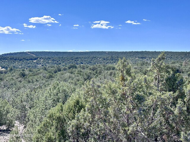 LOT1173 N Wonderland Way, Seligman, AZ 86337 - photo 4