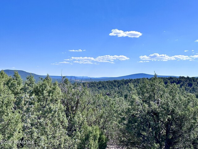 LOT1173 N Wonderland Way, Seligman, AZ 86337 - photo 5