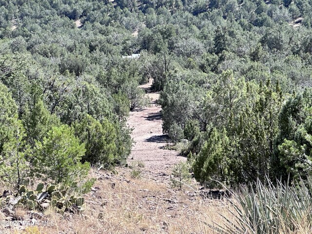 LOT1173 N Wonderland Way, Seligman, AZ 86337 - photo 10