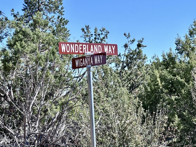 LOT1173 N Wonderland Way, Seligman, AZ 86337 - photo 11