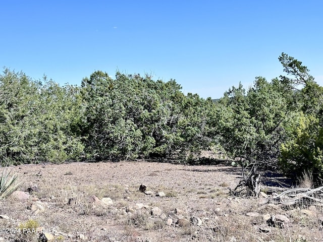 1173L N Wonderland Way, Seligman AZ, 86337 land for sale