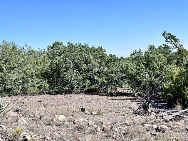 LOT1173 N Wonderland Way, Seligman, AZ 86337 - photo 1