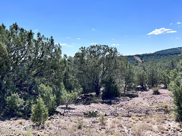 LOT1173 N Wonderland Way, Seligman, AZ 86337 - photo 6