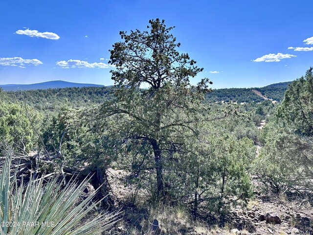 LOT1173 N Wonderland Way, Seligman, AZ 86337 - photo 2