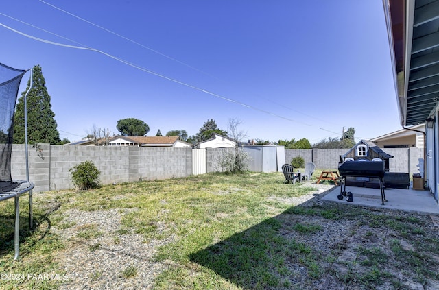 view of yard featuring a patio, a trampoline, and a storage unit