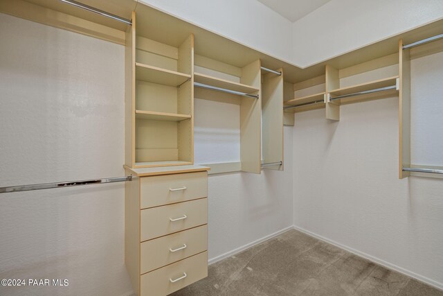 walk in closet with carpet