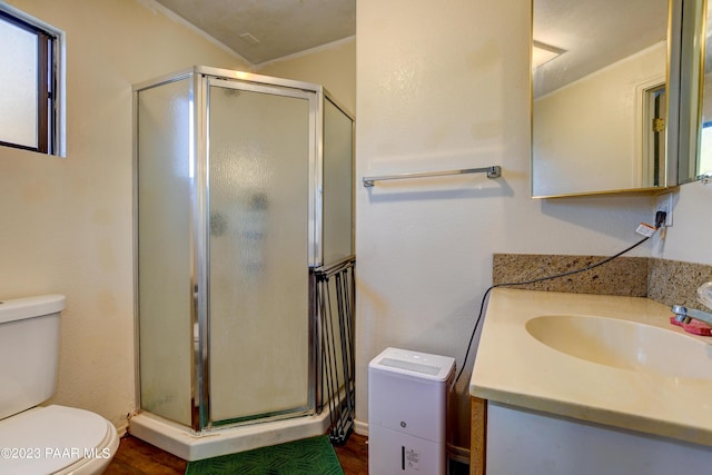 bathroom featuring vanity, a shower with door, and toilet