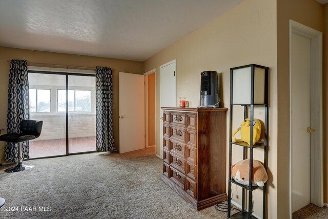 interior space featuring carpet floors