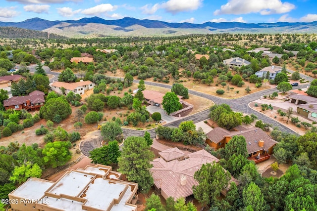 26 N Woodridge Cir, Prescott, AZ 86303 - photo 44