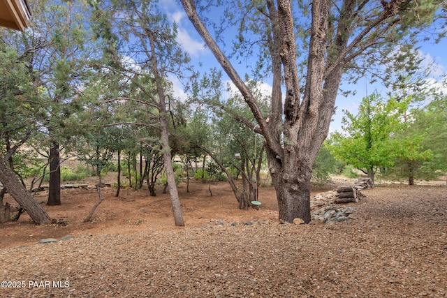 26 N Woodridge Cir, Prescott, AZ 86303 - photo 39