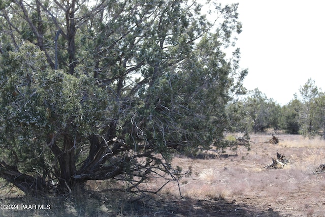 5079 N Pineveta Rd, Ash Fork, AZ 86320