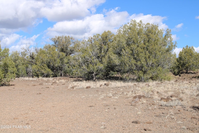 5079 N Pineveta Rd, Ash Fork, AZ 86320
