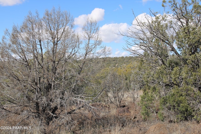 5079 N Pineveta Rd, Ash Fork, AZ 86320