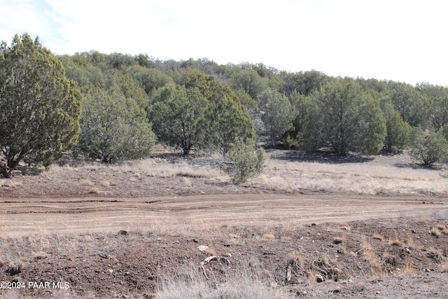 5079 N Pineveta Rd, Ash Fork, AZ 86320