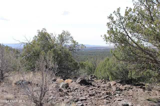 5079 N Pineveta Rd, Ash Fork, AZ 86320