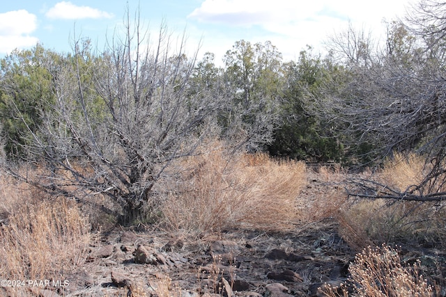 5079 N Pineveta Rd, Ash Fork, AZ 86320