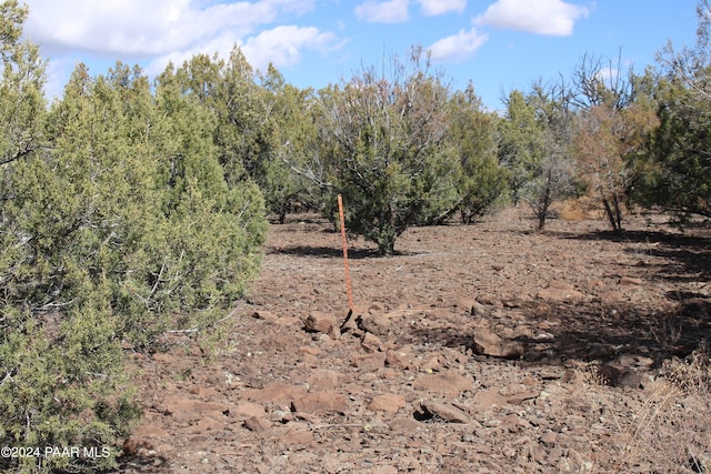5079 N Pineveta Rd, Ash Fork, AZ 86320