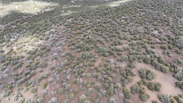5079 N Pineveta Rd, Ash Fork, AZ 86320