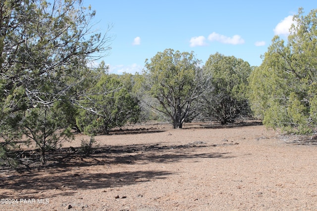 5079 N Pineveta Rd, Ash Fork, AZ 86320