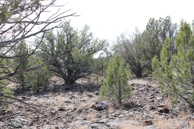 5079 N Pineveta Rd, Ash Fork, AZ 86320