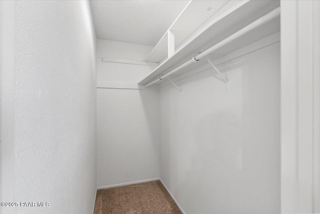 416 Hillcrest Dr, Prescott, AZ 86303 - walk in closet with carpet