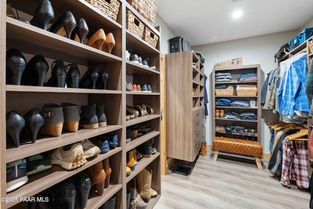 walk in closet featuring wood-type flooring