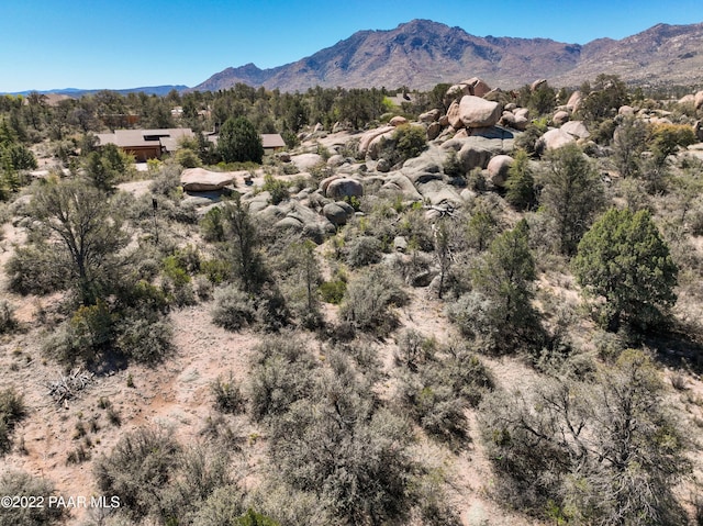 9970 N Clear Fork Rd, Prescott, AZ 86305 - photo 16