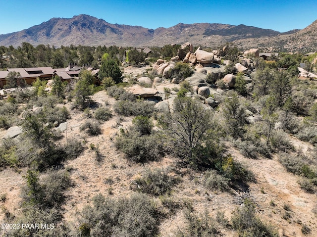 9970 N Clear Fork Rd, Prescott, AZ 86305 - photo 17
