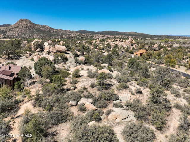 9970 N Clear Fork Rd, Prescott, AZ 86305 - photo 10