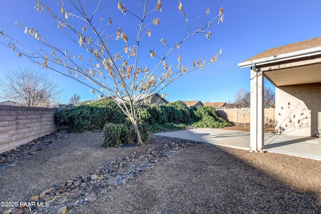 view of yard featuring a patio area