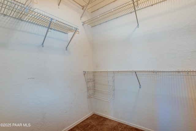 spacious closet with carpet