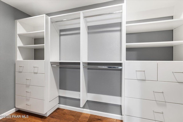 spacious closet featuring wood finished floors