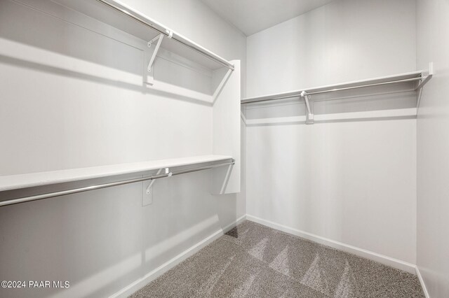 walk in closet featuring carpet