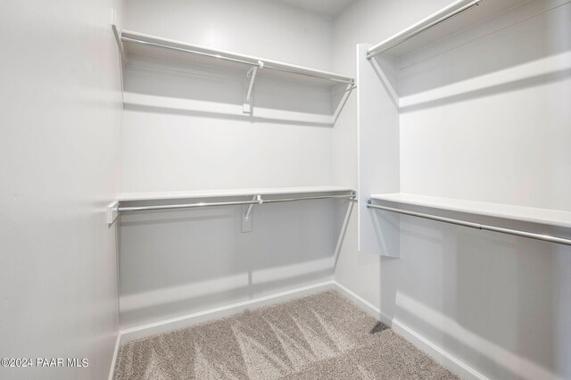 spacious closet with light colored carpet