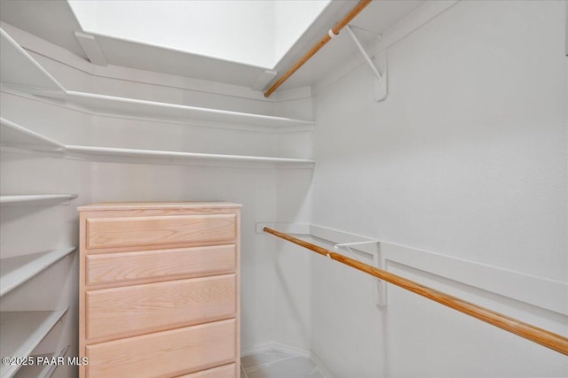 view of spacious closet