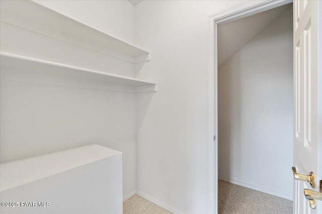 walk in closet with light carpet