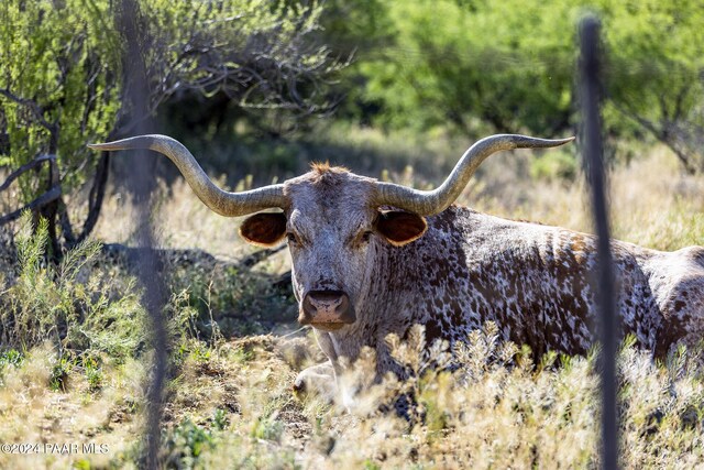 5500 S Four Cross Ranch Rd, Skull Valley, AZ 86338 - photo 49