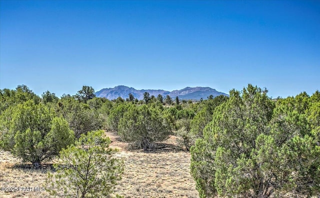 property view of mountains