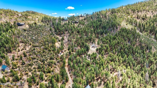 4555 E Combination Ln, Prescott, AZ 86303 - bird's eye view of a forest and mountains
