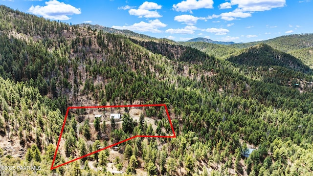 4555 E Combination Ln, Prescott, AZ 86303 - view of property location with a mountainous background, a heavily wooded area, and property parcel outlined