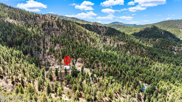 4555 E Combination Ln, Prescott, AZ 86303 - view of mountain background featuring a forest