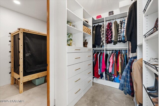 view of spacious closet