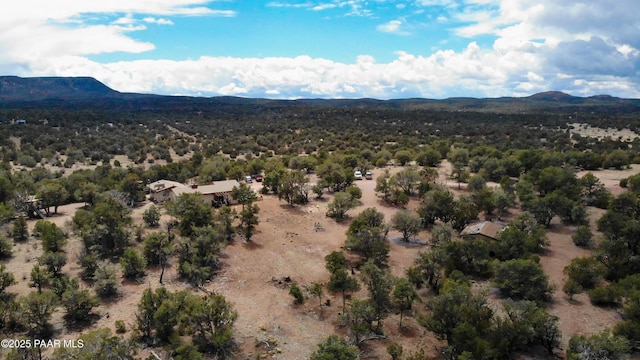 55409 Madre Cir, Seligman, AZ 86337 - aerial view of a mountainous background