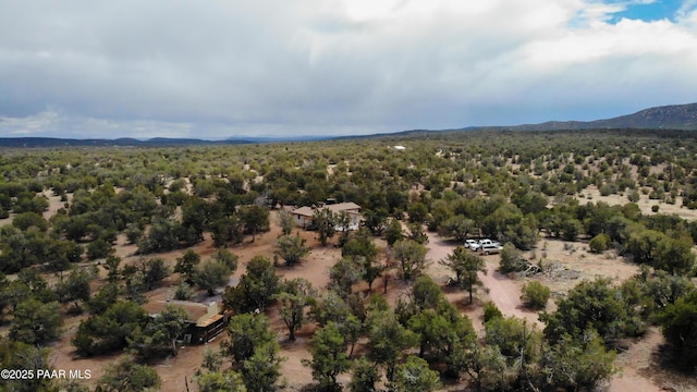 55409 Madre Cir, Seligman, AZ 86337 - aerial view of property and surrounding area featuring a heavily wooded area