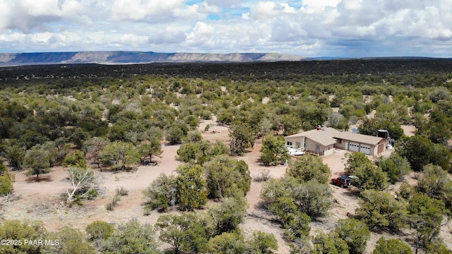 55409 Madre Cir, Seligman, AZ 86337 - aerial view of property and surrounding area with a heavily wooded area