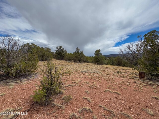 55409 Madre Cir, Seligman, AZ 86337 - view of nature